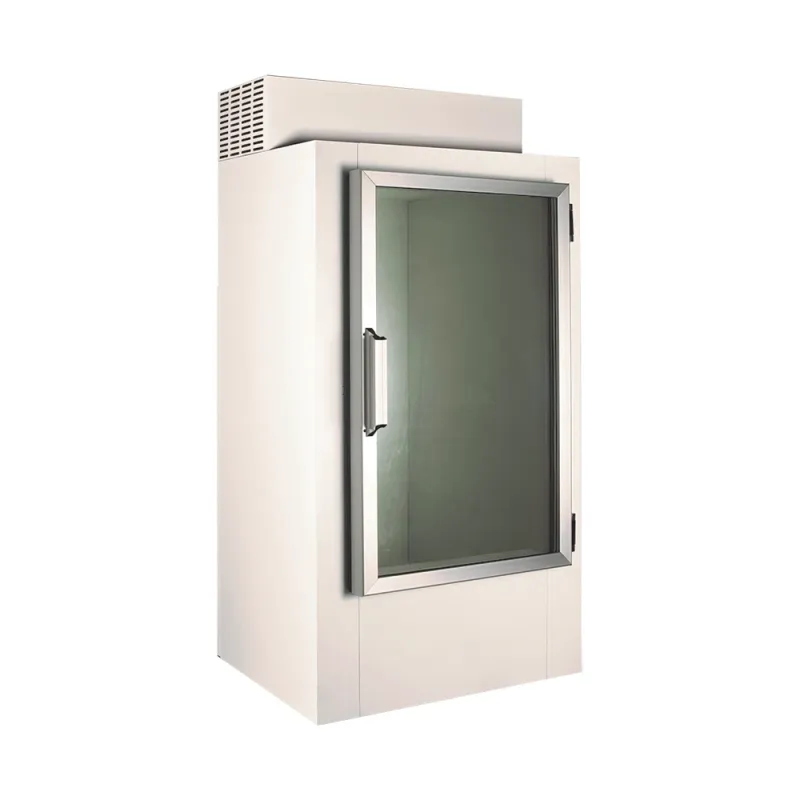Καταψύκτης πάγου 1 Πόρτα CRYSTAL ICE BOX 30 GD